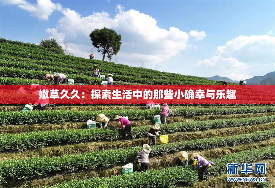 嫩草久久：探索生活中的那些小确幸与乐趣