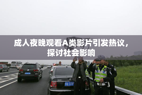 成人夜晚观看A类影片引发热议，探讨社会影响