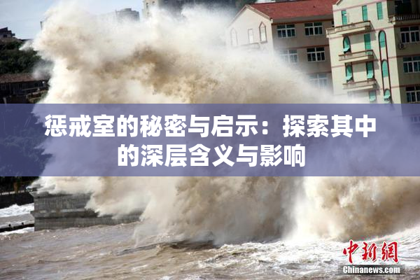惩戒室的秘密与启示：探索其中的深层含义与影响