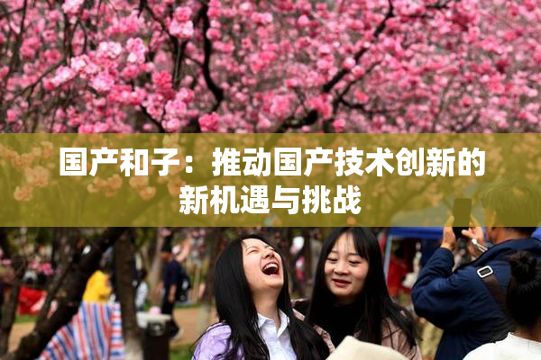 国产和子：推动国产技术创新的新机遇与挑战