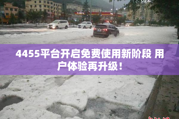 4455平台开启免费使用新阶段 用户体验再升级！