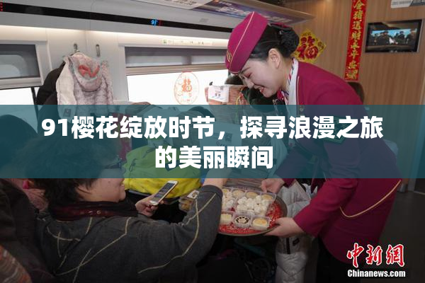 91樱花绽放时节，探寻浪漫之旅的美丽瞬间