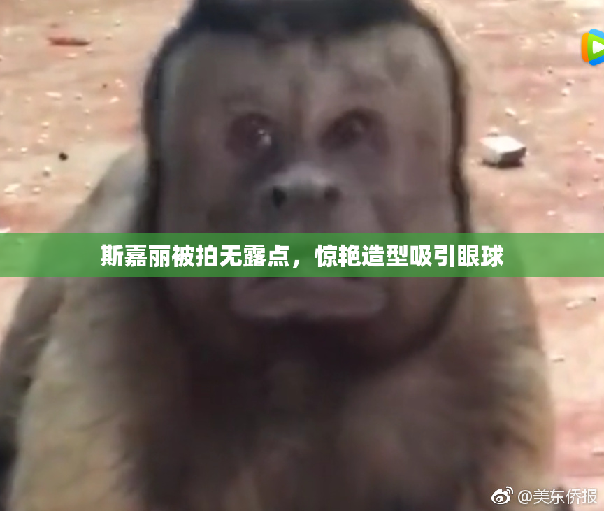 斯嘉丽被拍无露点，惊艳造型吸引眼球