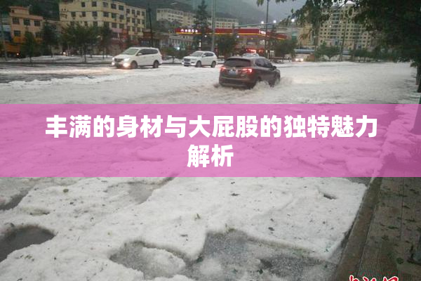 丰满的身材与大屁股的独特魅力解析