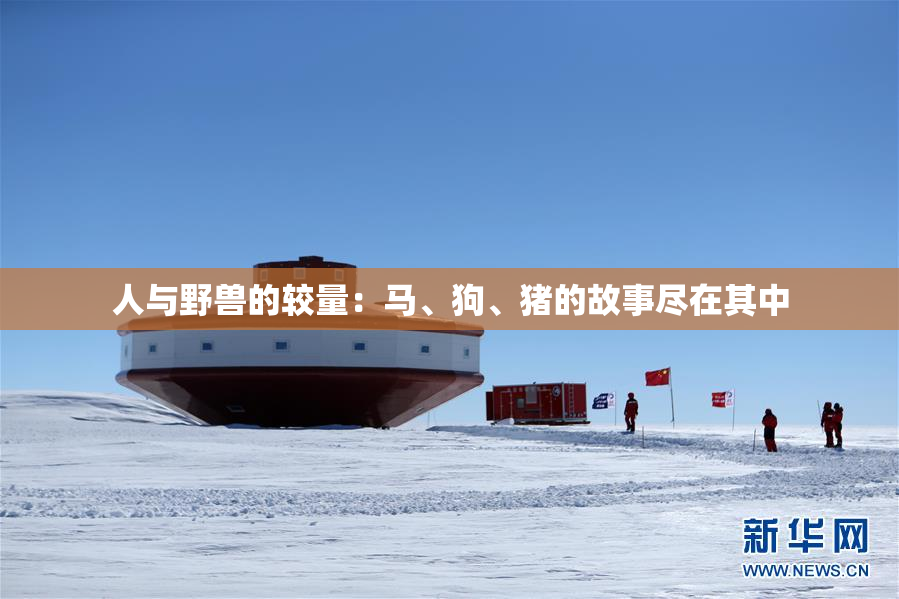 人与野兽的较量：马、狗、猪的故事尽在其中