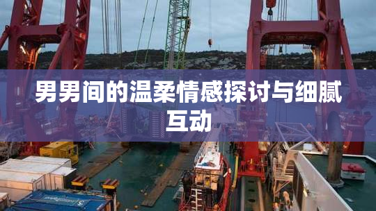 男男间的温柔情感探讨与细腻互动