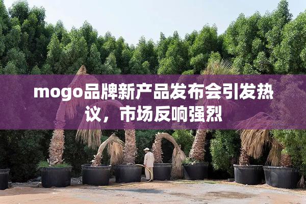 mogo品牌新产品发布会引发热议，市场反响强烈