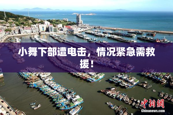 小舞下部遭电击，情况紧急需救援！