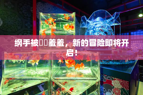 纲手被❌‌羞羞，新的冒险即将开启！