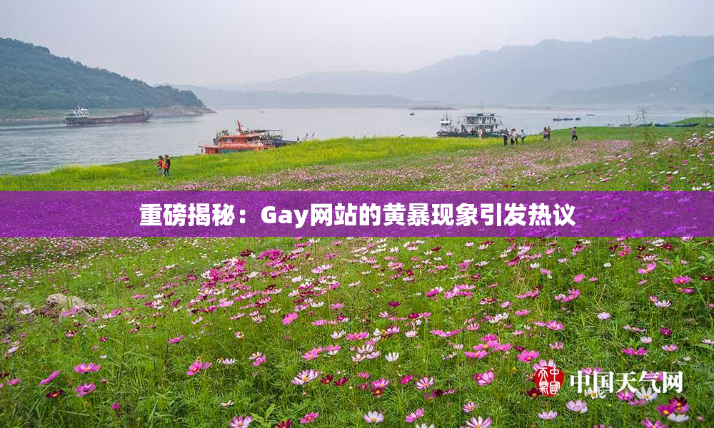 重磅揭秘：Gay网站的黄暴现象引发热议