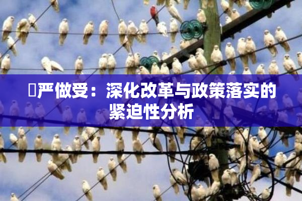 囯严做受：深化改革与政策落实的紧迫性分析