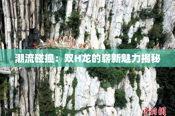 潮流碰撞：双H龙的崭新魅力揭秘