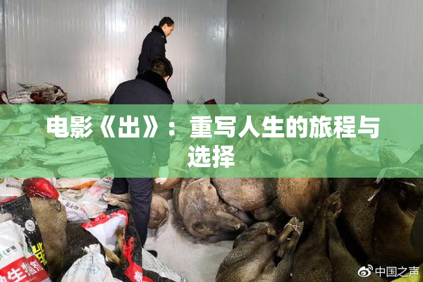 电影《出》：重写人生的旅程与选择