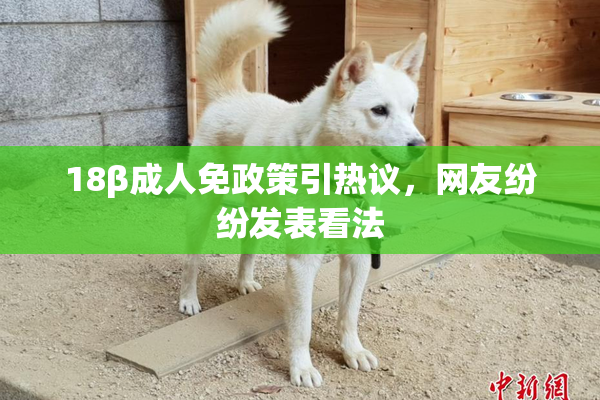18β成人免政策引热议，网友纷纷发表看法