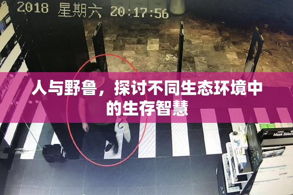 人与野鲁，探讨不同生态环境中的生存智慧