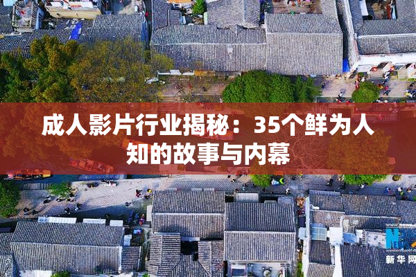 成人影片行业揭秘：35个鲜为人知的故事与内幕