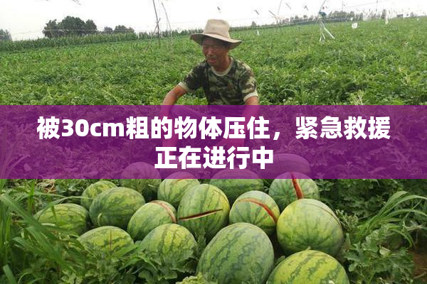 被30cm粗的物体压住，紧急救援正在进行中