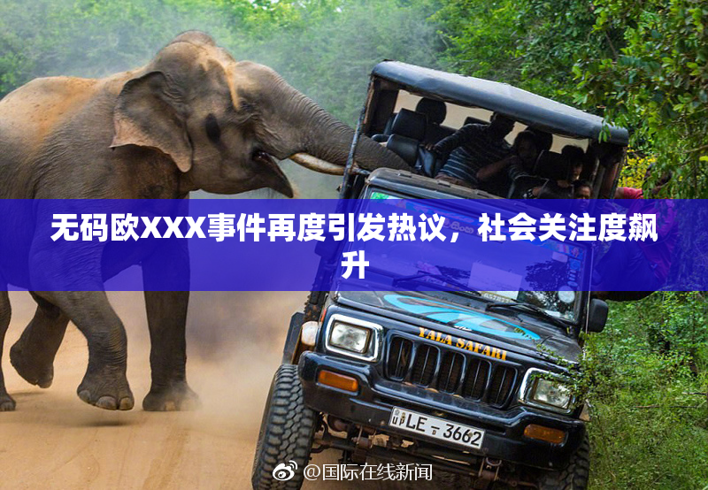 无码欧XXX事件再度引发热议，社会关注度飙升