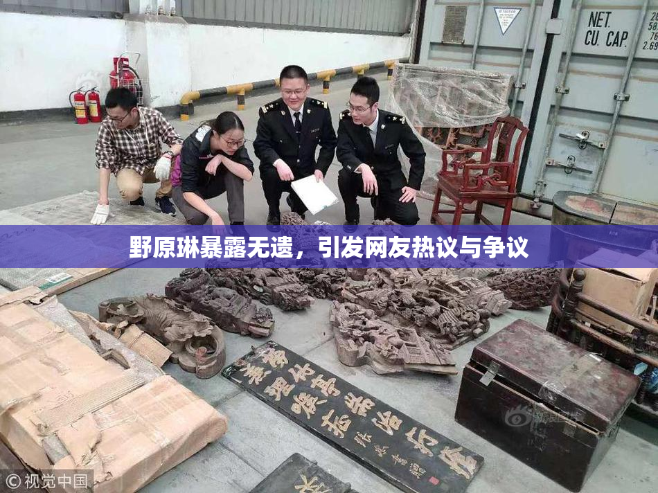 野原琳暴露无遗，引发网友热议与争议