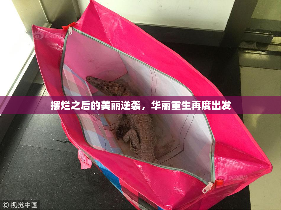 摆烂之后的美丽逆袭，华丽重生再度出发