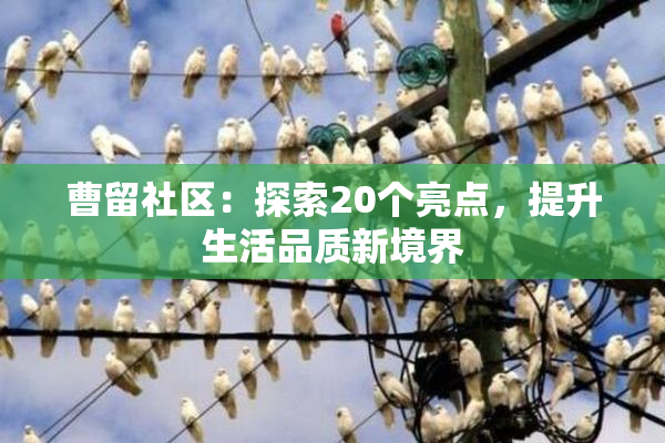 曹留社区：探索20个亮点，提升生活品质新境界