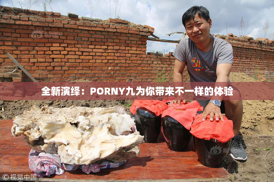 全新演绎：PORNY九为你带来不一样的体验