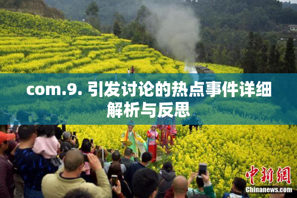com.9. 引发讨论的热点事件详细解析与反思