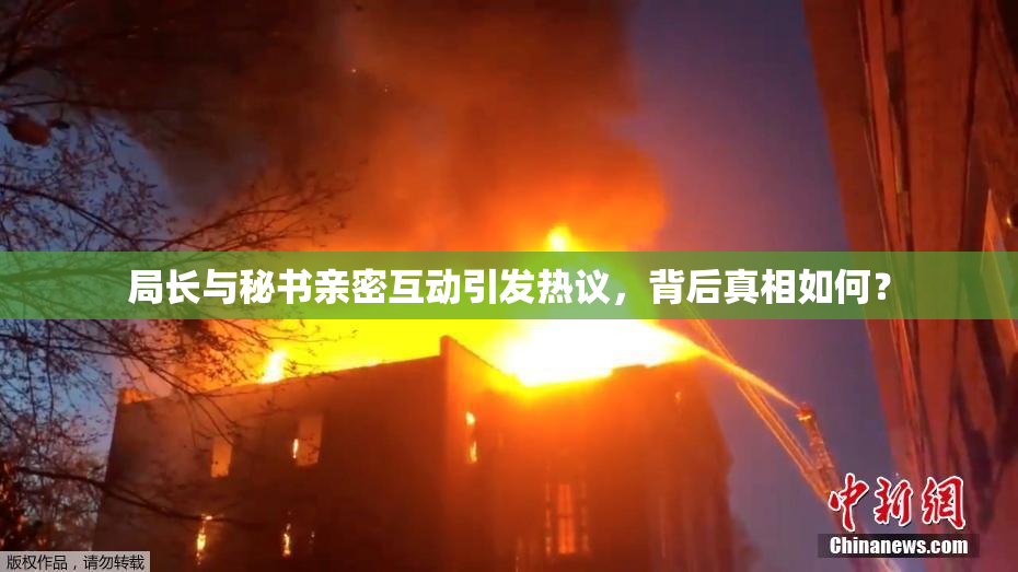 局长与秘书亲密互动引发热议，背后真相如何？