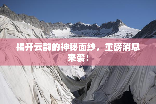 揭开云韵的神秘面纱，重磅消息来袭！