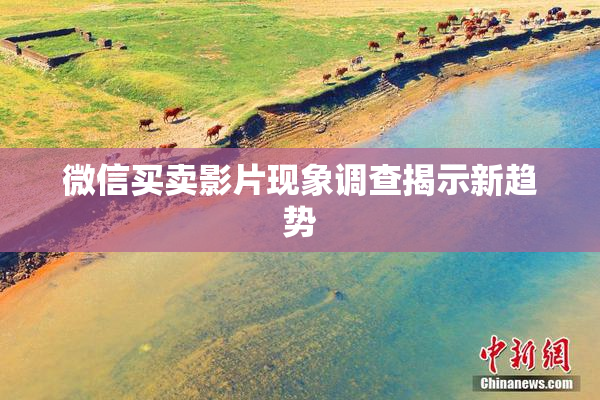 微信买卖影片现象调查揭示新趋势
