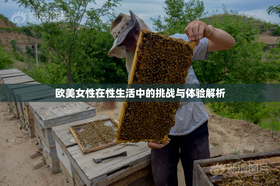 欧美女性在性生活中的挑战与体验解析