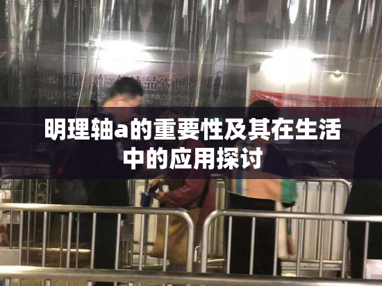 明理轴a的重要性及其在生活中的应用探讨