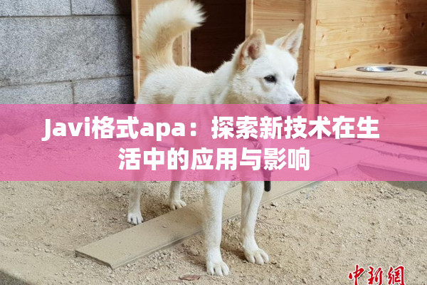 Javi格式apa：探索新技术在生活中的应用与影响
