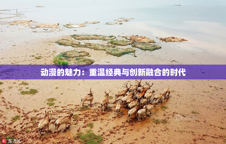 动漫的魅力：重温经典与创新融合的时代