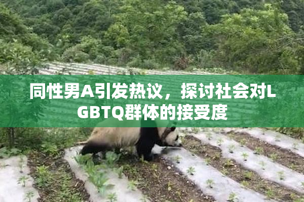 同性男A引发热议，探讨社会对LGBTQ群体的接受度