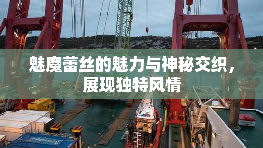 魅魔蕾丝的魅力与神秘交织，展现独特风情