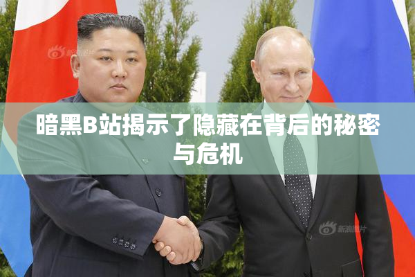 暗黑B站揭示了隐藏在背后的秘密与危机