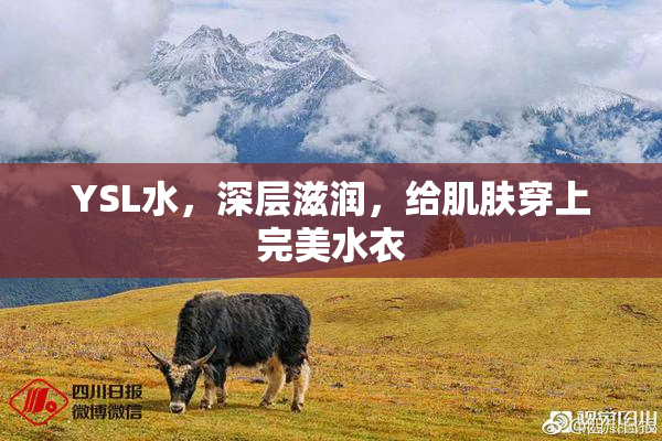 YSL水，深层滋润，给肌肤穿上完美水衣