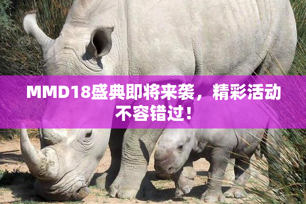 MMD18盛典即将来袭，精彩活动不容错过！