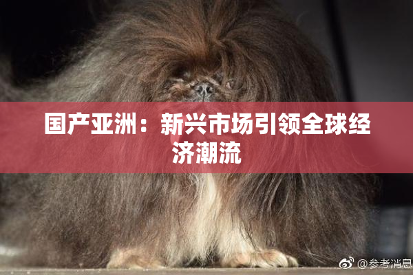 国产亚洲：新兴市场引领全球经济潮流
