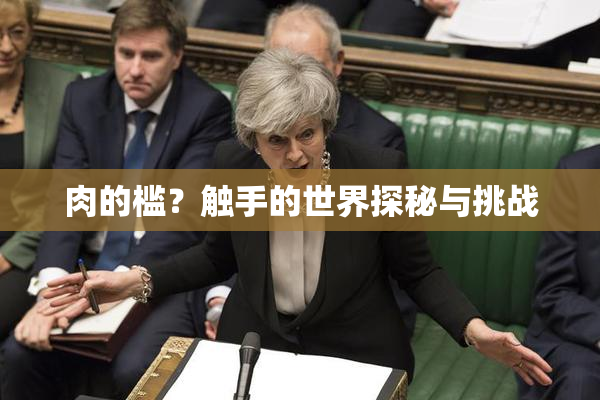 肉的槛？触手的世界探秘与挑战