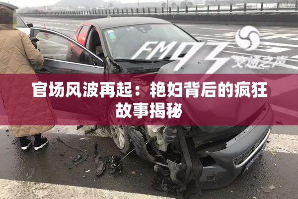 官场风波再起：艳妇背后的疯狂故事揭秘