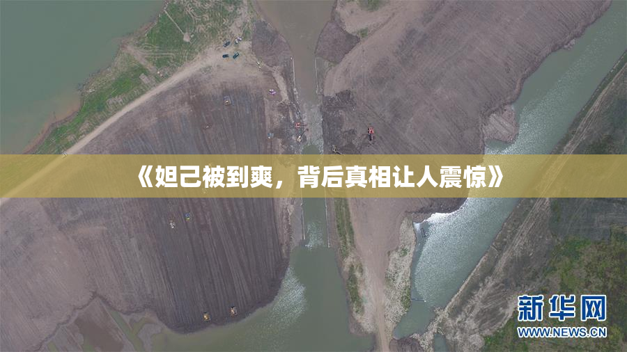 《妲己被到爽，背后真相让人震惊》