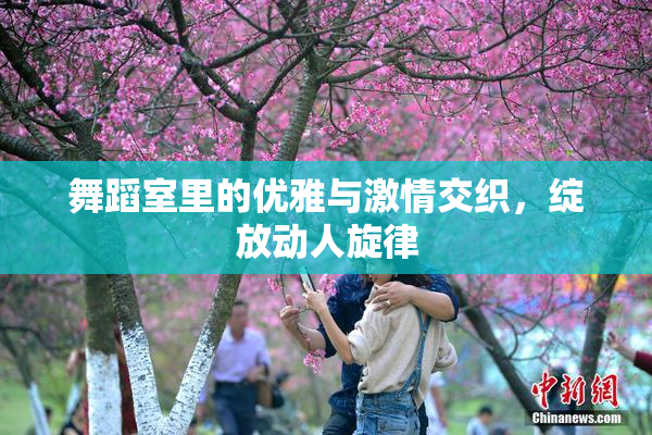 舞蹈室里的优雅与激情交织，绽放动人旋律