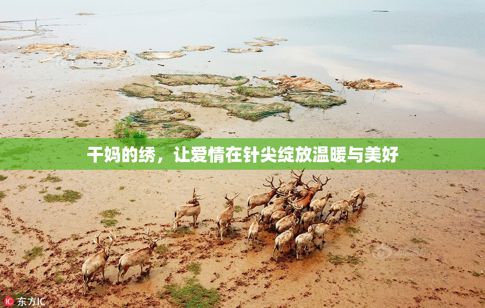 干妈的绣，让爱情在针尖绽放温暖与美好