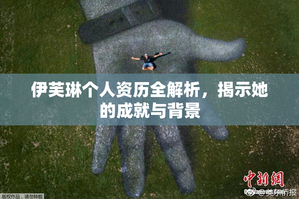 伊芙琳个人资历全解析，揭示她的成就与背景