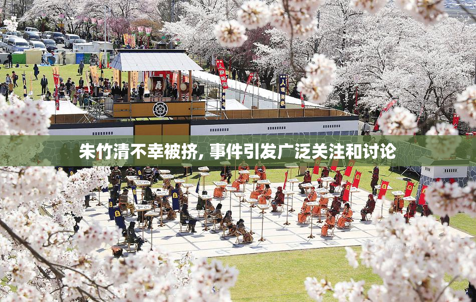 朱竹清不幸被挤, 事件引发广泛关注和讨论