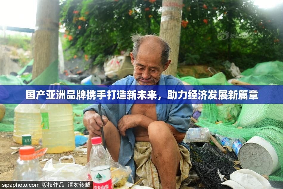 国产亚洲品牌携手打造新未来，助力经济发展新篇章
