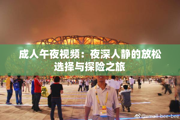 成人午夜视频：夜深人静的放松选择与探险之旅