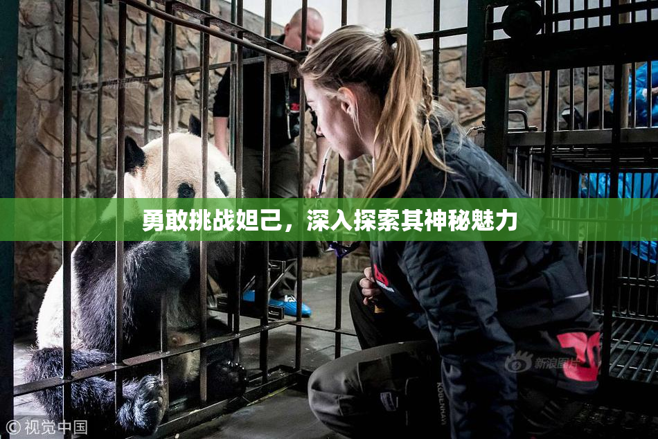 勇敢挑战妲己，深入探索其神秘魅力